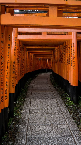 Senbon Torii, Fushimi Inari Shrine